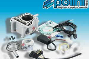 Kit Polini Vespa gts 