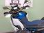 Immagine 26