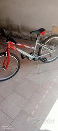 MTB   ruote da 24"