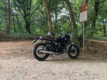 Mash Two Fifty 250