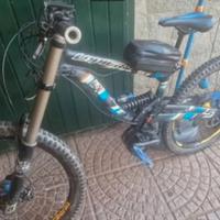 mtb elettrica dh