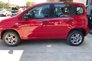 Auto panda usata