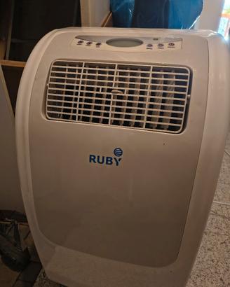 condizionatore portatile 