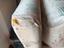 Immagine 4