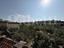 Immagine 12