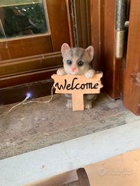 Gattino di benvenuto