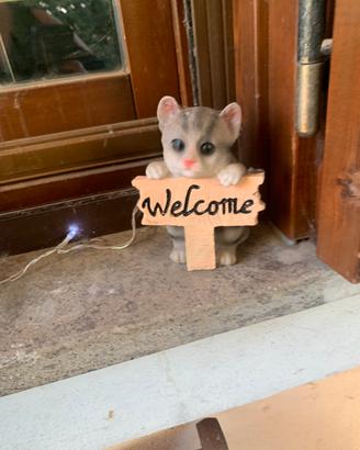 Gattino di benvenuto