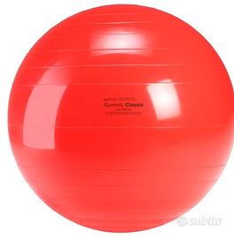 Classic Palla per fisioterapia