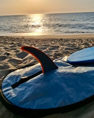 Pinna longboard 10.0