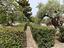 Immagine 14