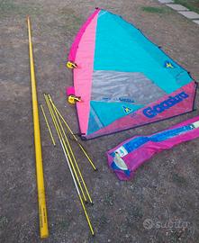 Vela e albero windsurf