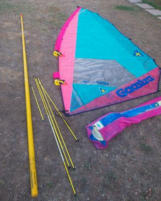 Vela e albero windsurf