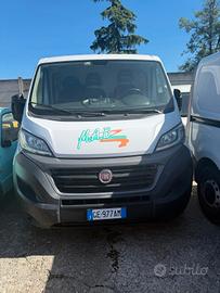 Fiat Ducato 21 cella Frigorifera 