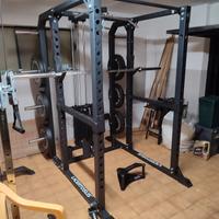 home Gym lacertosus palestra 