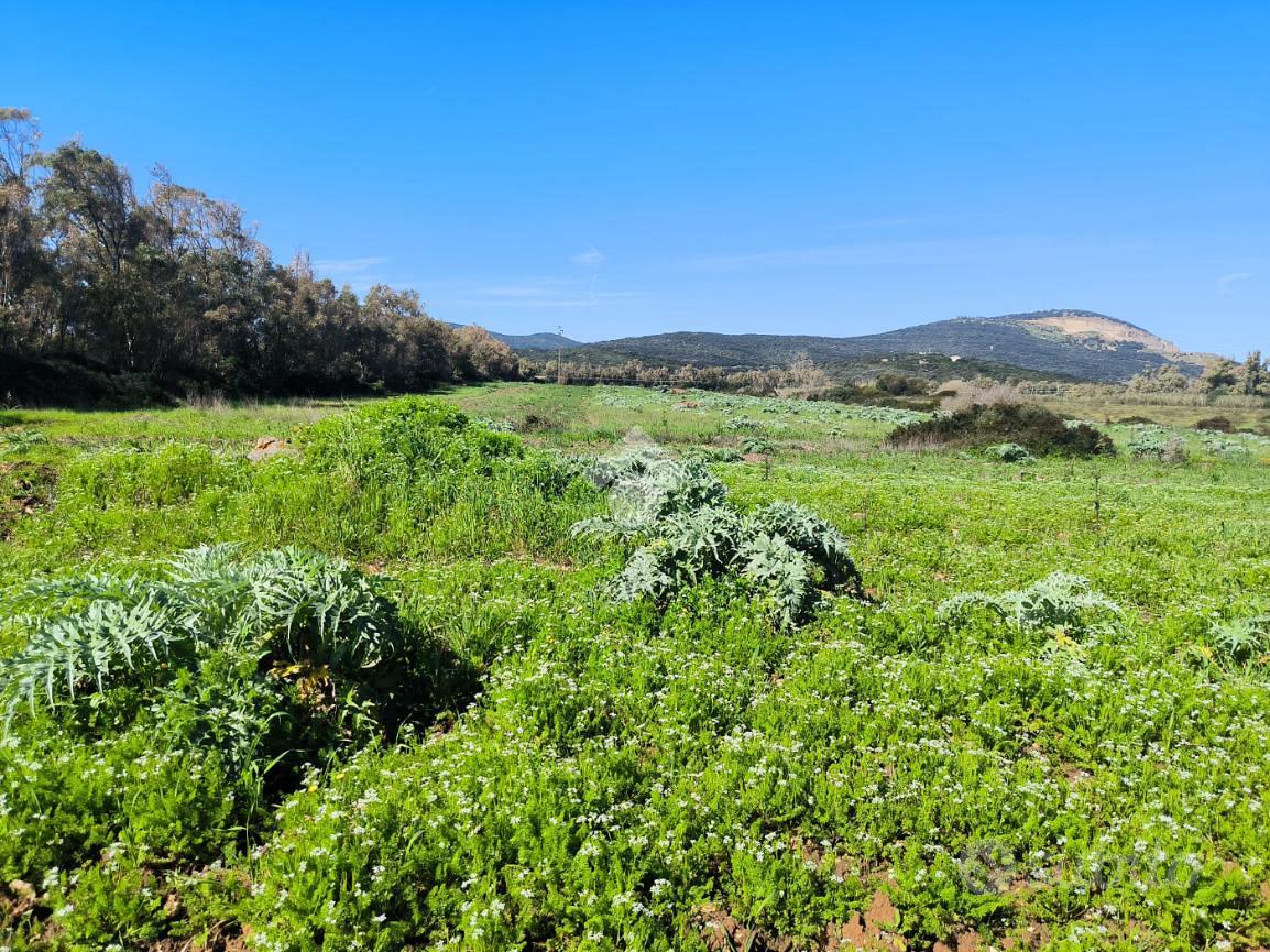 TER. AGRICOLO A SASSARI - Vista 3