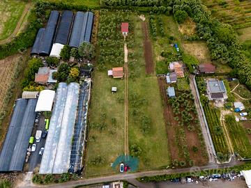 Zagarolo: terreno con rustico e azienda agricola
