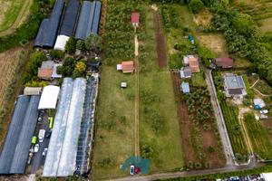 Zagarolo: terreno con rustico e azienda agricola