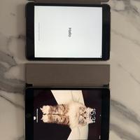 Ipad mini 2 e 4