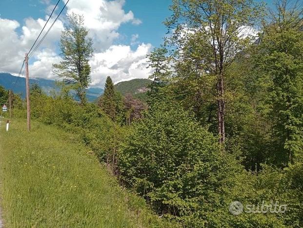 Terreno bosco e prato Valle di Sella 15.000 mq