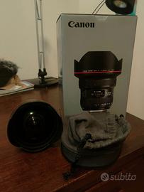 Canon 11/24 f4L