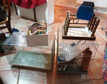 Accessori vari pappagalli 