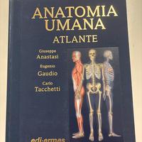 Atlante Anatomia Umana, Anastasi