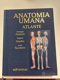Atlante Anatomia Umana, Anastasi