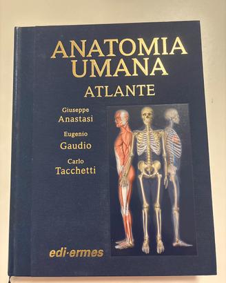 Atlante Anatomia Umana, Anastasi