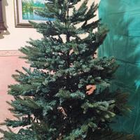 Albero di Natale Yosemite