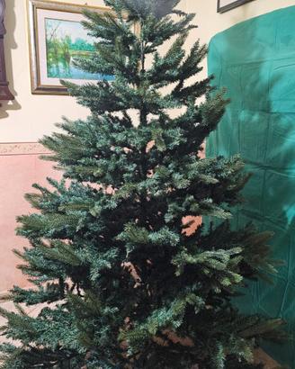 Albero di Natale Yosemite