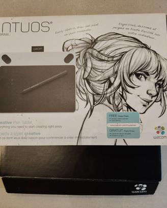 Tavoletta grafica Wacom Intuos CTL-490DW-S