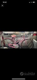 Bici rosa donna ellesse