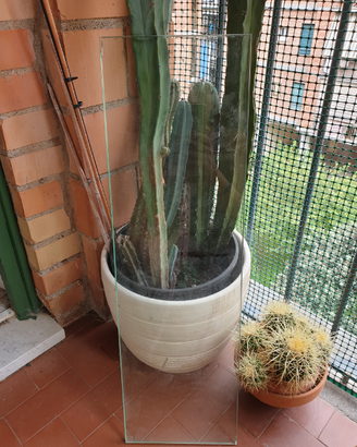 2 mensole di vetro
