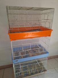 Animali