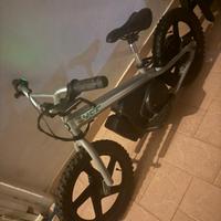 Bici elettrica 250W