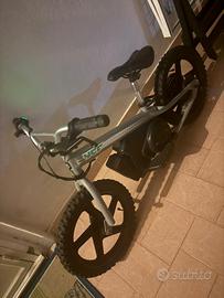 Bici elettrica 250W