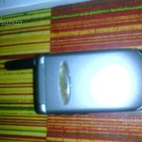 Telefono tartarughino