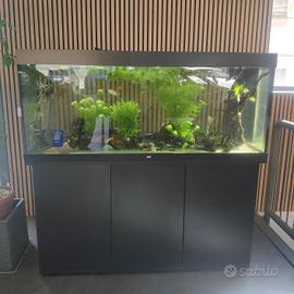 acquario Rio juwel 450 litri  completo pesci 