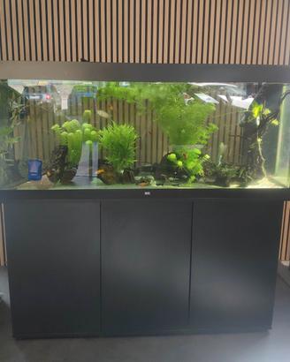 acquario Rio juwel 450 litri  completo pesci 