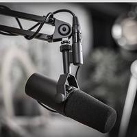 Shure SM7B Microfono dinamico