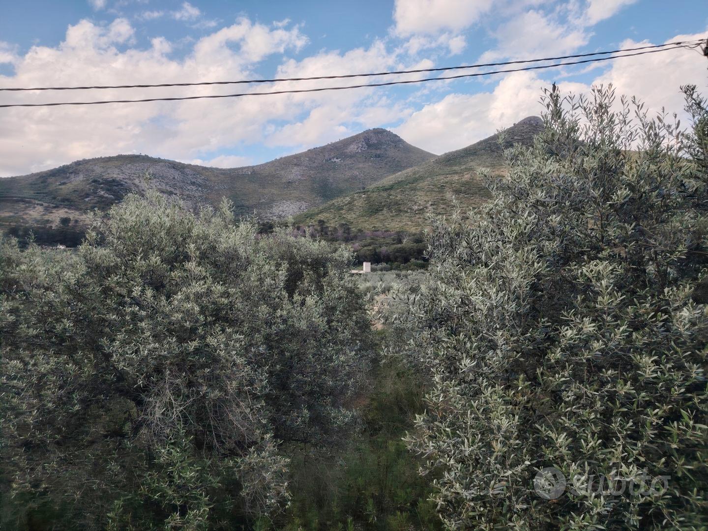 Terreno Agricolo - Vista 5