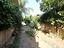 Immagine 29