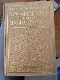 Vocabolario lingua italiana