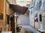 Immagine 13