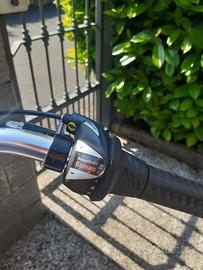 Bicicletta tre ruote made in italy