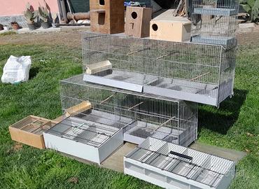 Accessori allevamento pappagalli