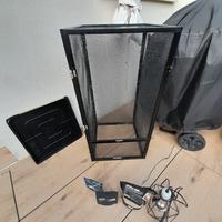 teca camaleonte e accessori