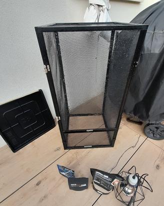 teca camaleonte e accessori