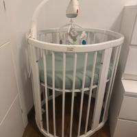 Lettino evolutivo levin felin