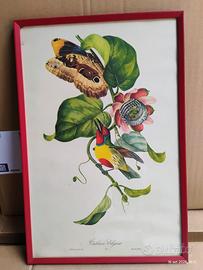 Stampa Vintage "Cabézon Élégant"